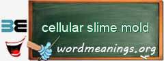 WordMeaning blackboard for cellular slime mold